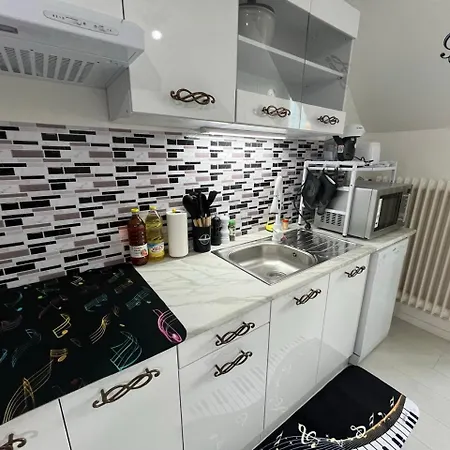 Les Roitelets Musique - Bel T2 - Thème Musique - Entièrement Neuf - Classé 3 étoiles - Proche Centre-ville&thermes - Confort - Ménage Et Linge De Maison Inclus Apartamento *