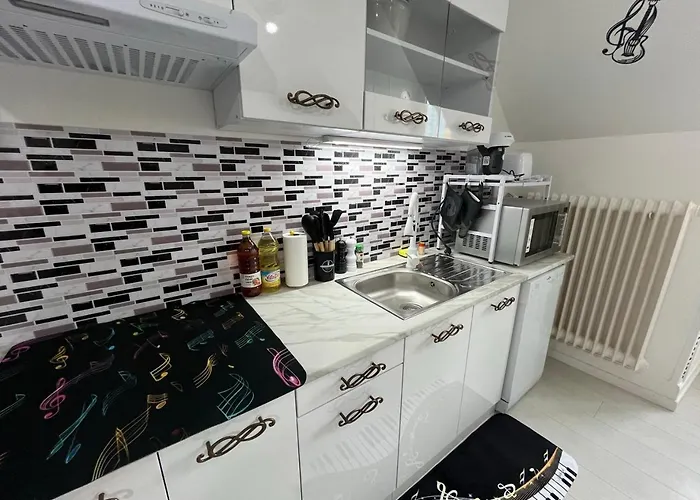 Les Roitelets Musique - Bel T2 - Thème Musique - Entièrement Neuf - Classé 3 étoiles - Proche Centre-ville&thermes - Confort - Ménage Et Linge De Maison Inclus Apartamento *